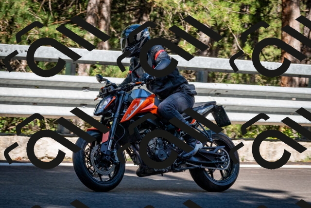 202509041123-DSC_9831_c2