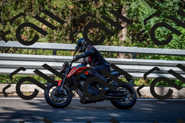 202509041123-DSC_9832_c2