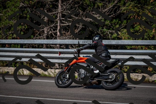 202509041123-DSC_9833_c2