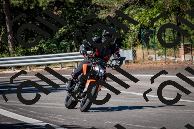 202509041134-DSC_9840_c2