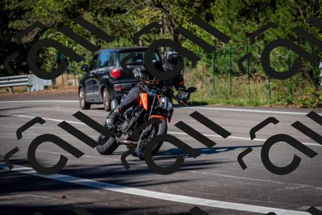 202509041134-DSC_9841_c2