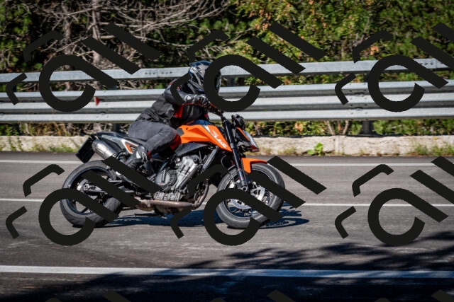 202509041134-DSC_9842_c2