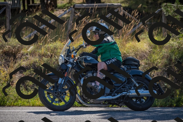 20250906095512-_5000865_am_