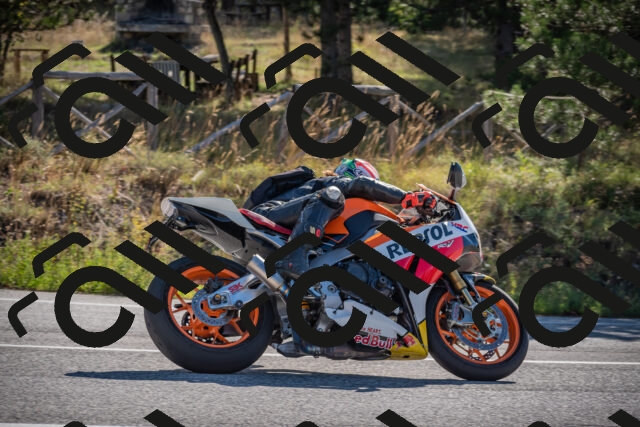 20250906095536-_5000870_am_