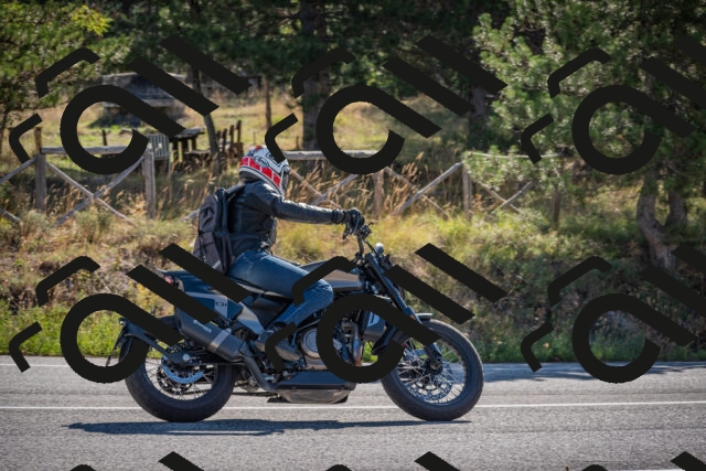 20250906100433-_5000904_am_