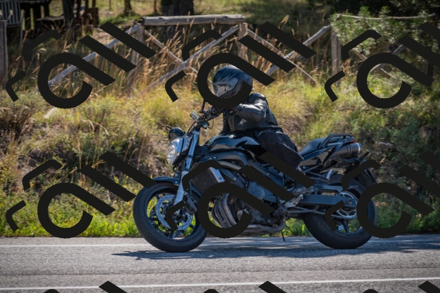 20250906100623-_5000921_am_