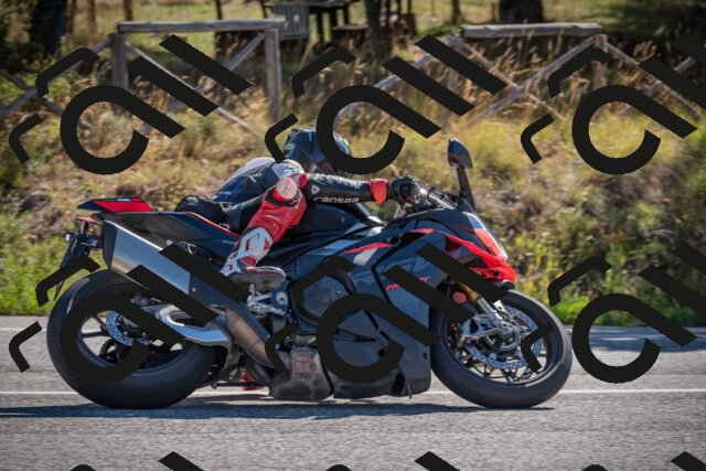 20250906101200-_5000945_am_