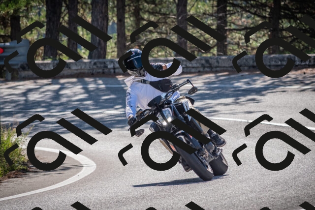 20250906101324-_5000951_am_