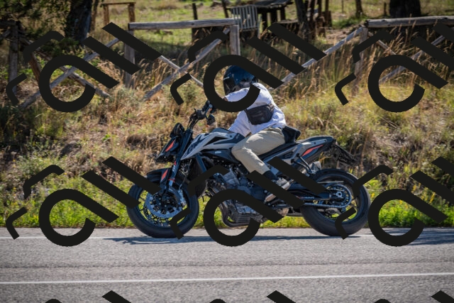 20250906101326-_5000954_am_