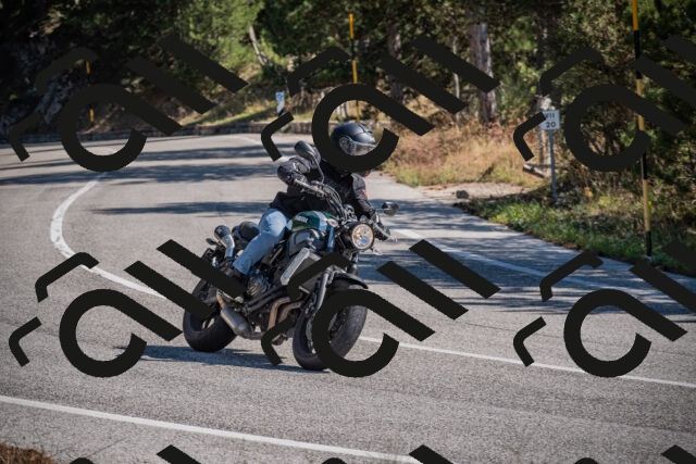 20250906110456-_5001273_am_