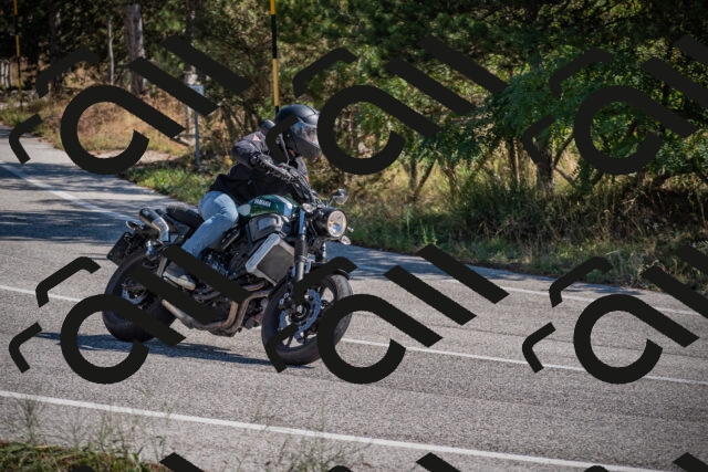 20250906110456-_5001274_am_