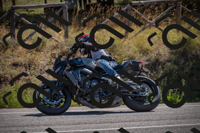 20250906110922-_5001309_am_