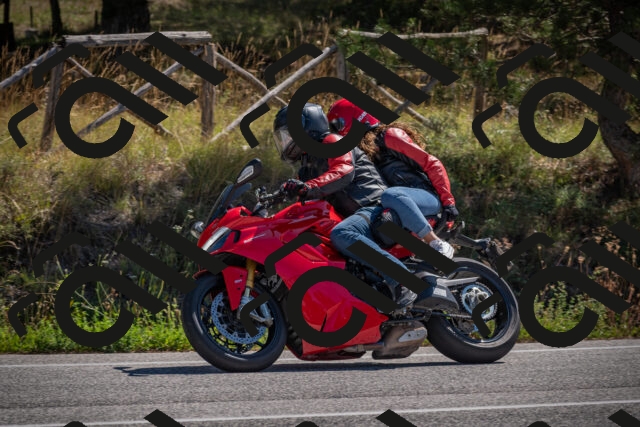 20250906113833-_5001589_am_