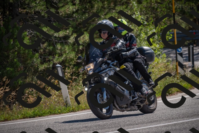 20250906114511-_5001663_am_