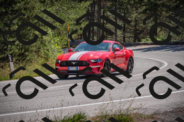 20250906115005-_5001709_am_