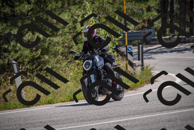 20250906115639-_5001782_am_