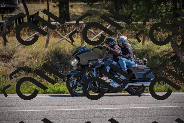 20250906115746-_5001804_am_