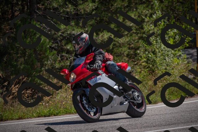 20250906120317-_5001852_am_