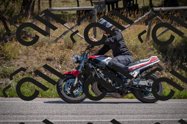 20250906121557-_5001959_am_