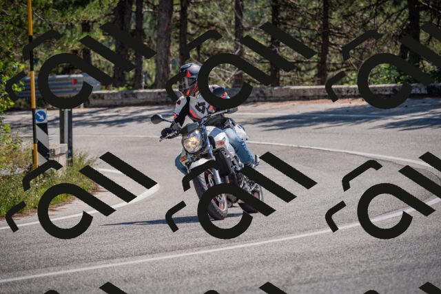 20250906124102-_5002242_am_