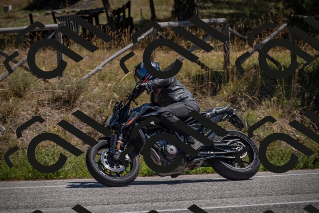 20250906124748-_5002344_am_