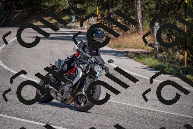 20250906125245-_5002405_am_