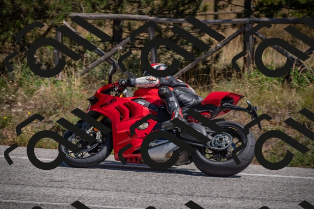 20250906125727-_5002498_am_