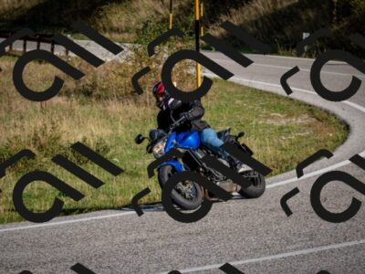 202509061006-DSC_9873_c2