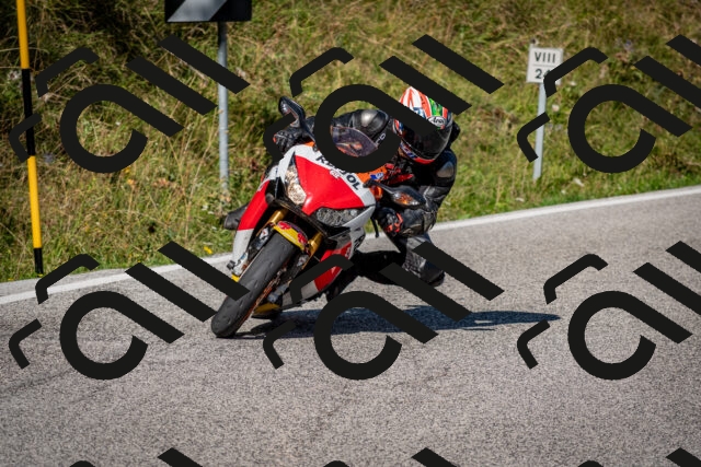 202509061006-DSC_9877_c2