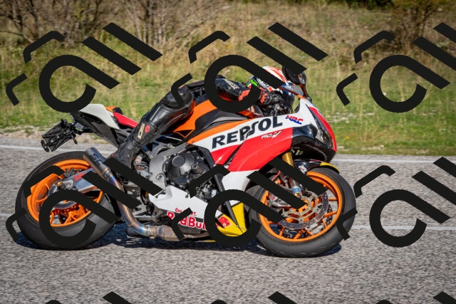 202509061006-DSC_9879_c2