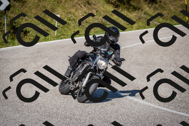 202509061008-DSC_9881_c2