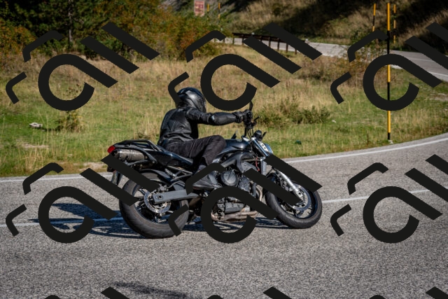 202509061008-DSC_9883_c2