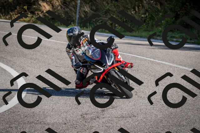 202509061008-DSC_9884_c2