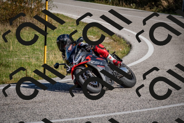 202509061008-DSC_9885_c2