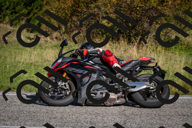 202509061008-DSC_9886_c2