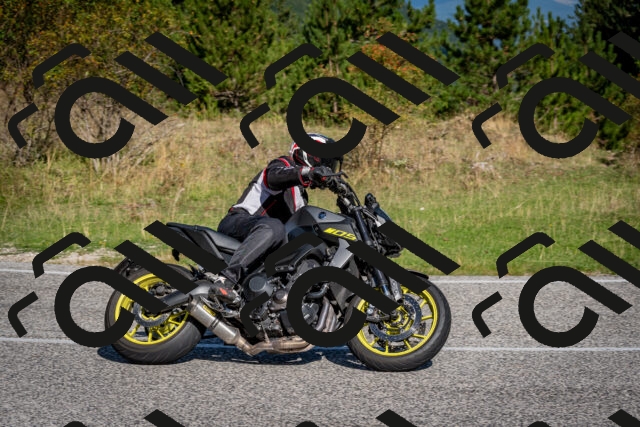 202509061008-DSC_9889_c2