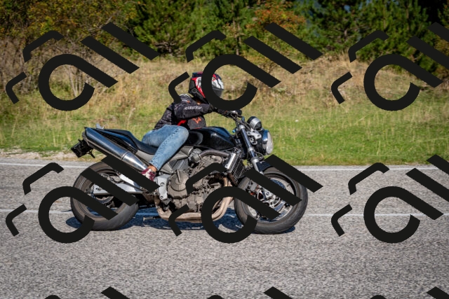 202509061008-DSC_9893_c2