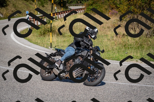 202509061008-DSC_9894_c2