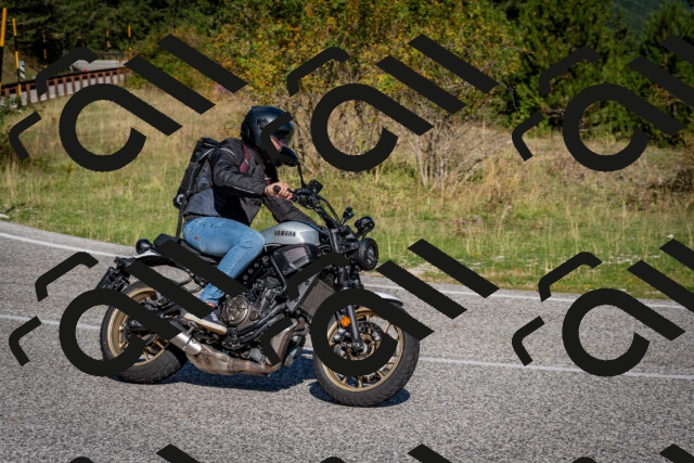 202509061011-DSC_9899_c2