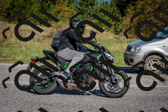 202509061011-DSC_9901_c2