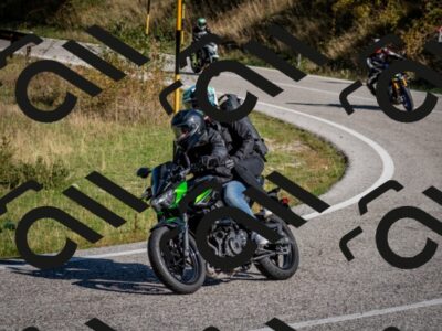 202509061012-DSC_9917_c2