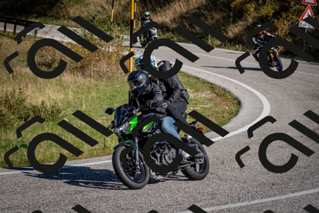 202509061012-DSC_9917_c2