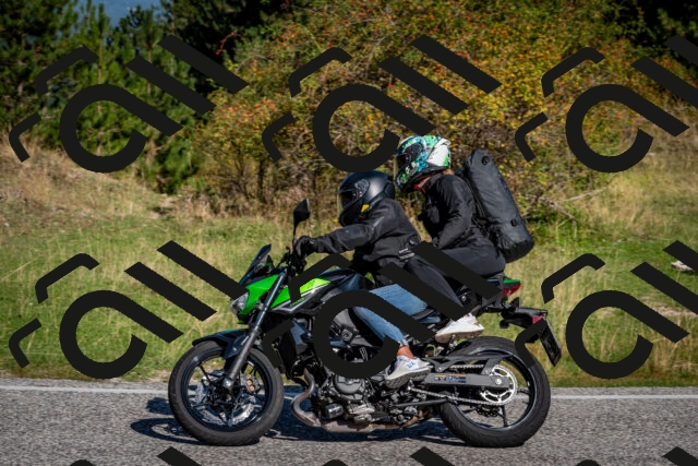 202509061012-DSC_9919_c2