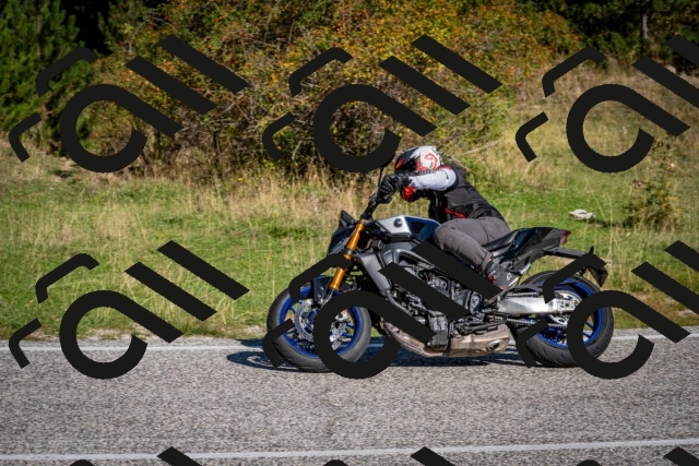 202509061012-DSC_9922_c2