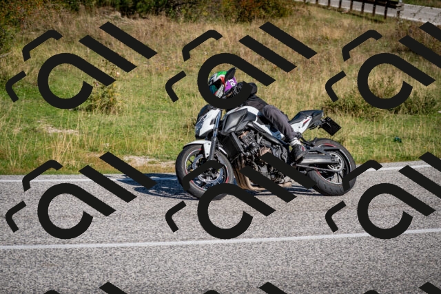 202509061012-DSC_9923_c2