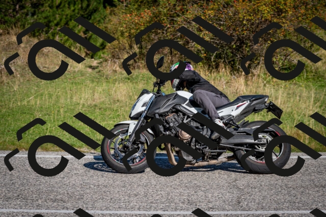 202509061012-DSC_9924_c2