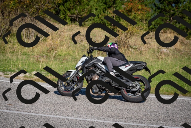 202509061012-DSC_9925_c2