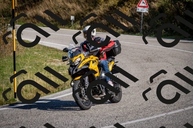 202509061016-DSC_9931_c2