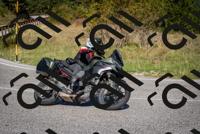 202509061018-DSC_9934_c2