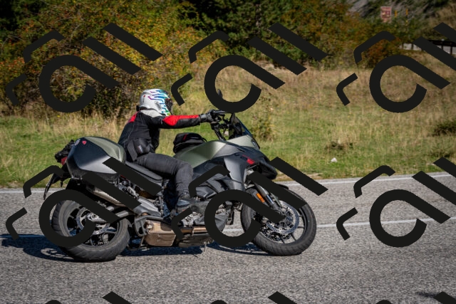 202509061018-DSC_9935_c2